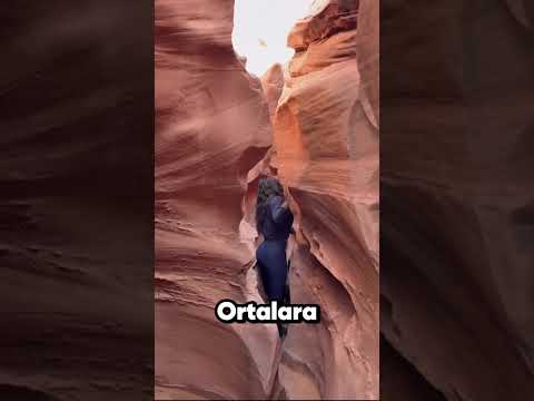 Direklerin Arasından Geçemezsen Yürüyüş Yapamazsın..