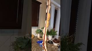 Hot Dog Tower 🌭