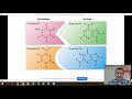 Nucleotide Structure and Bonding