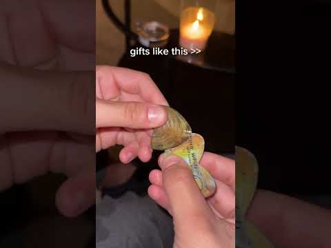 yes ❤️