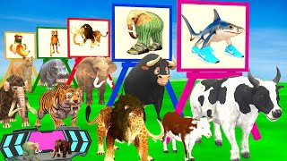 Guess The Right Image With BRAINROT Animals And Cow Elephant Tiger Elephant Bull Buffalo Gorilla