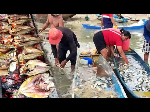 Menjaring Ribuan ekor Ikan Hanya Di Kedalaman 3  Meter | FishingNet & BBQ