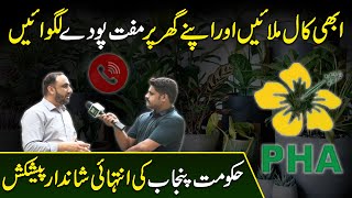 Abhi call milayei aur apnay ghar per muft poday lagwayei, hakumat e Punjab ki shandar peshkash