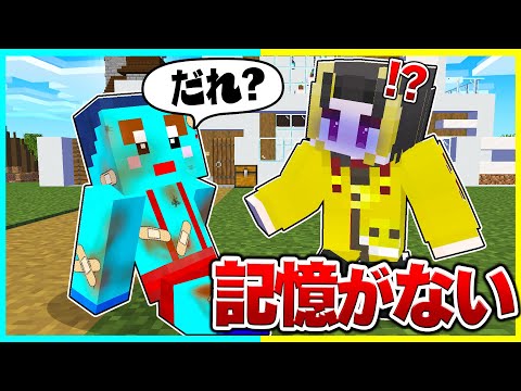 けなたろうが記憶喪失になってしまった！記憶を思い出させろ!【マイクラ / まいくら / マインクラフト】