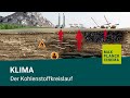 Understanding the Carbon Cycle and Its Impact on Climate