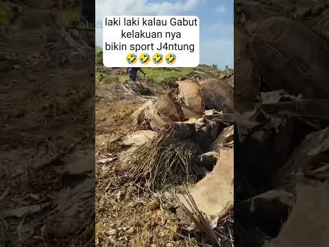 laki laki kalau gabut suka nya begini 🤣 #komediskb #muhammadyanuari