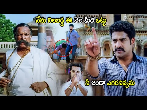 Nassar & Jr Ntr Powerful Warning Interesting Scene | Telugu Movies | Cinema Chupistha