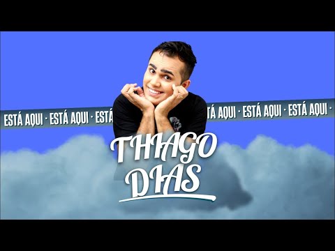 SHOW DE PIADAS EM DESENHO ANIMADO - PIADAS VARIADAS COM THIAGO DIAS