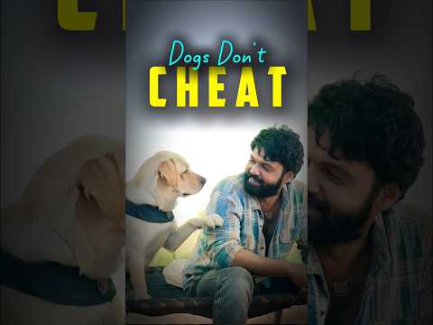 Dogs Don't Cheat ❤️🫵 | Tiger Editz | #shorts #song #movie