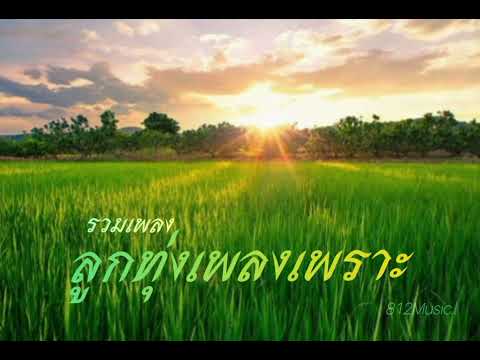 #ลูกทุ่ง​เพลง​เพราะ​