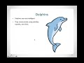 Marine Life and Their Characteristics