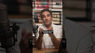 How Gristedes Supermarkets Stay Alive