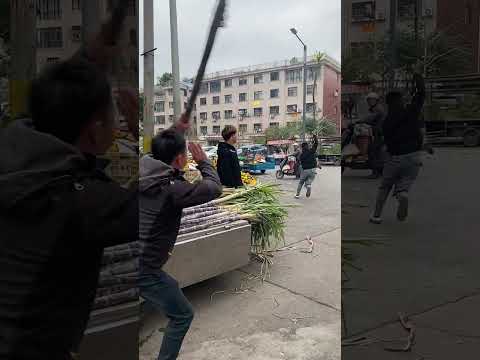 These boys pulled a sugarcane prank that fooled everyone