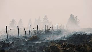 YouTube video thumbnail: Belgium Wildfire 'Encircled' Overnight but Situation Still 'Complicated,' Officials Say