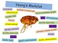 Understanding Young's Modulus Concepts