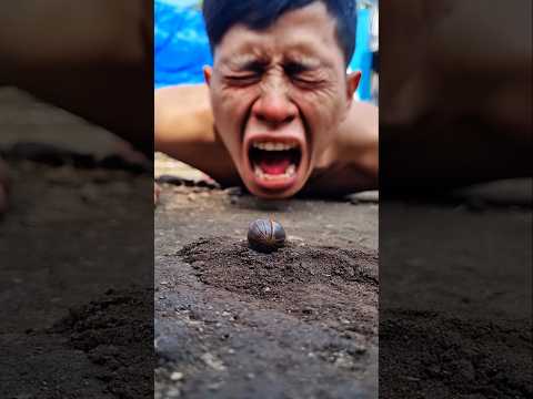 Tears streamed down my face seeing this pill millipede gone forever #shorts #pillmillipedesong