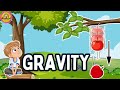 Understanding Gravity and Its Effects