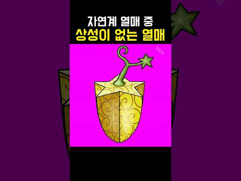 원피스 상성이 없는 사기적인 열매