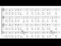 Comprensión del Video Tutorial
