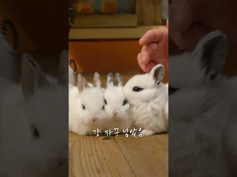 제가 지난 3년간의 일을 요약해봤습니다