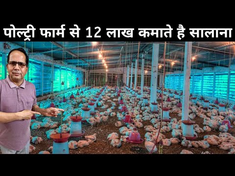 पोल्ट्री के मास्टर जी Broiler Poultry Farming | Broiler Chicken Farming | Broiler Farm Business Plan