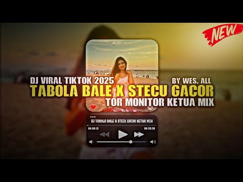 DJ TABOLA BALE X STECU STECU X ORANG BARU LEBE GACOR [TOR MONITOR KETUA MIX 2025] BY WES ALL