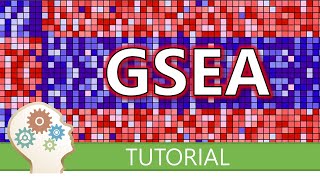 HOW TO PERFORM GSEA - A tutorial on gene set enrichment analysis for RNA-seq