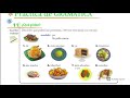 Understanding Video Section Themes