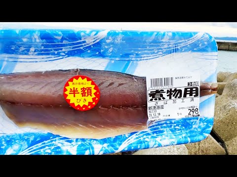 海鮮鍋が食べたくて半額149円のサバで釣りに行く