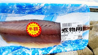 海鮮鍋が食べたくて半額149円のサバで釣りに行く