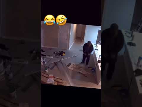 WHEN FEAR MEETS DOOR: A Comedy Mishap! ? #viral #funny #dog #shorts