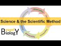 Exploring the Steps of the Scientific Method