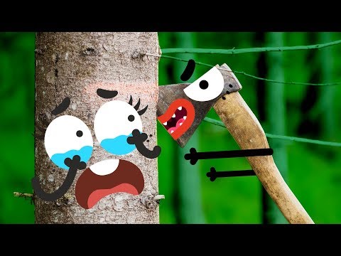 WONDERFUL WORLD OF WILD FOOD AND THINGS - 24/7 DOODLES