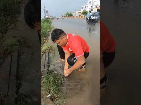 This Culvert Possible For Drain Again #unclog #clean #drain #shorts