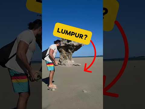 Jika Kamu Mengira Ini Lumpur Kamu Salah Besar? #shorts #faktaunik