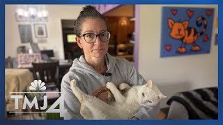 Rescue for cats with health issues works to rebuild after historic Wisconsin flooding