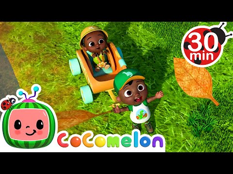 Autumn Leaves | Cody Time Nursery Rhymes & Kids Songs