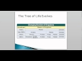 Classification of Organisms and Domains