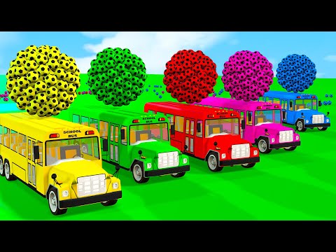 Baby Shark + Wheels On the Bus, Bingo Song - School Bus, Baby Nursery Rhymes & Kids Songs