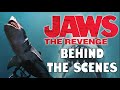 Great White Sharks and Jaws: The Revenge