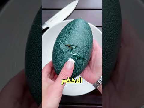 أكبر بيضة على وجه الأرض - والأخيرة لا تصدق 😨
