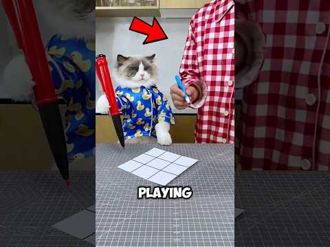 This Girl Never Expected Her Cat’s Genius Move‼️ 😱🐱
