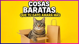 ¡NO GASTES MÁS! TOP COSAS GRATIS QUE VUELVEN LOCO A TU GATO