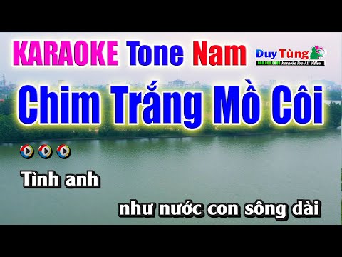 Karaoke || Chim Trắng Mồ Côi – Tone Nam || Nhạc Sống Duy Tùng