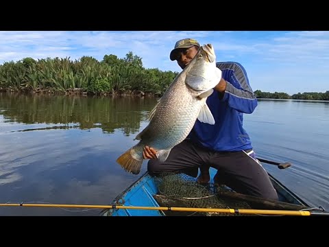 Rezeki tak terduga,Rekor ikan Barramundi besar 10 Kg dengan joran tradisional