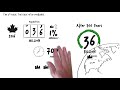 Population Growth and Sustainability Concepts