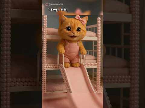 Which bed slide is the best? #comedy #cat #cute #catlovers #cutecat #pets #funny