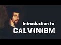 Calvinism: Key Concepts and Beliefs