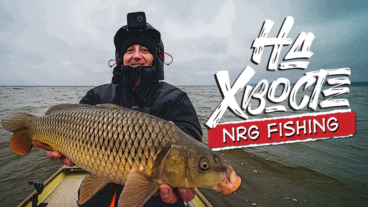 НА ХВОСТЕ NRG Fishing. Крупный сазан на джиг. Рыбалка с лодки поздней осенью