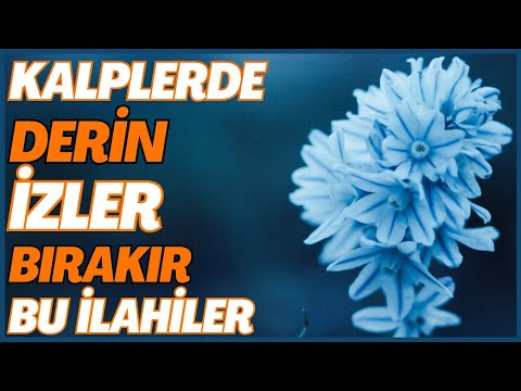 KALPLERDE DERİN İZLER BIRAKIR BU İLAHİLER | EN GÜZEL İLAHİLER